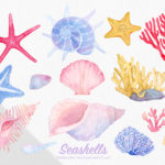 DL素材「seashells」夏の水彩clipart set