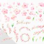 DL素材「桜の花びら」水彩clipart set