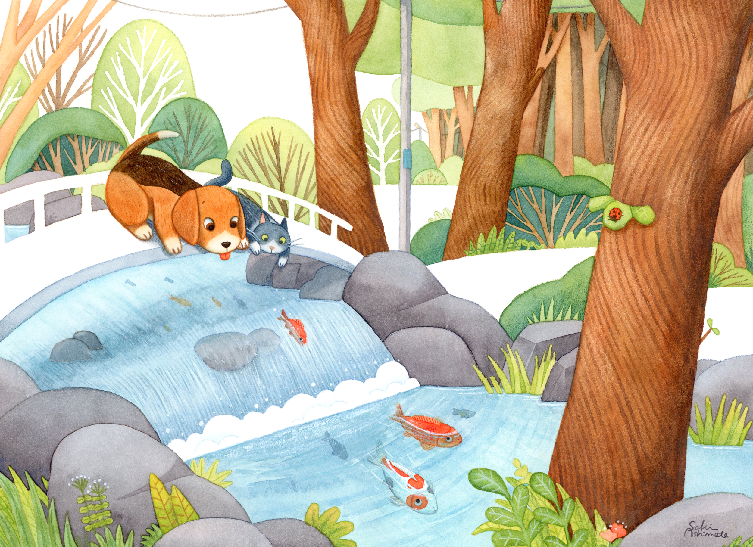 ５月／川辺の探検：ビーグル、ハチワレ猫